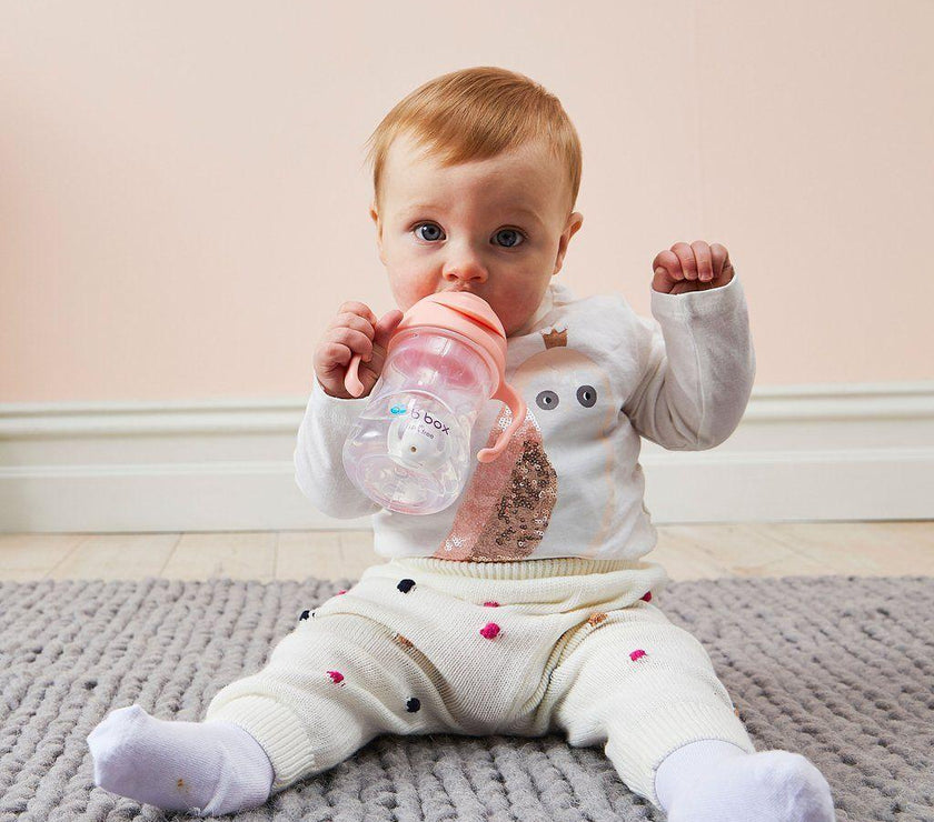 B.Box Sippy Cup Gelato - Tutti Frutti (NEW) | Little Baby.