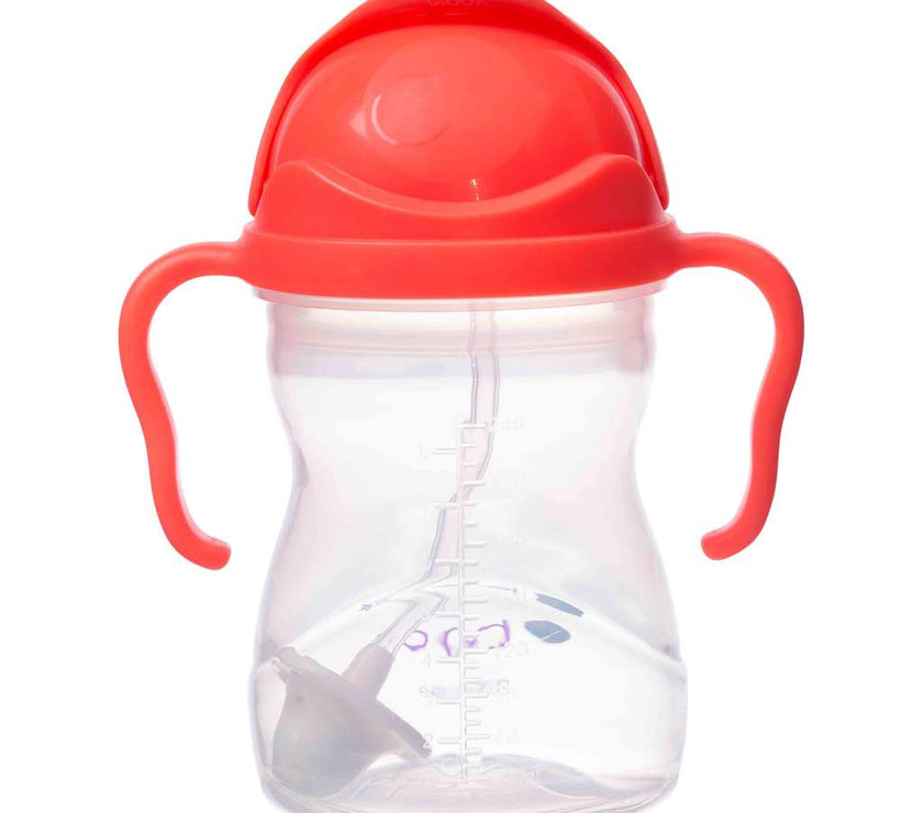 B.Box Sippy Cup Neon - Watermelon (NEW Upgraded 2019) | Little Baby.