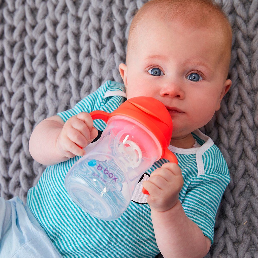 B.Box Sippy Cup Neon - Watermelon (NEW Upgraded 2019) | Little Baby.