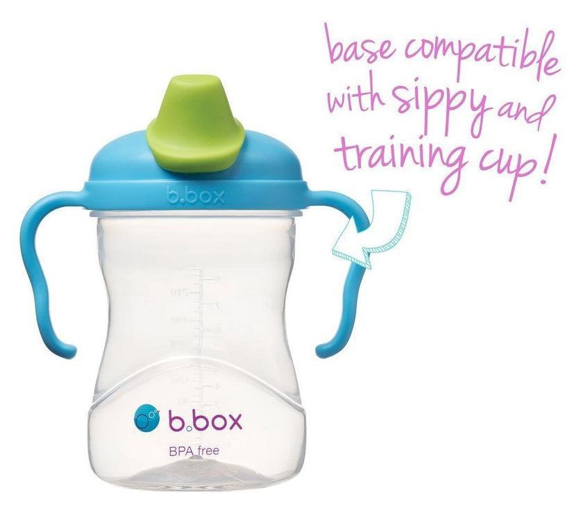 B.Box Spout Cup - Blueberry | Little Baby.