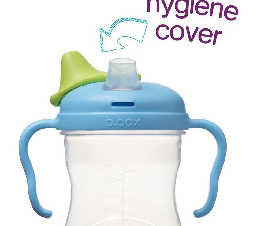 B.Box Spout Cup - Blueberry | Little Baby.
