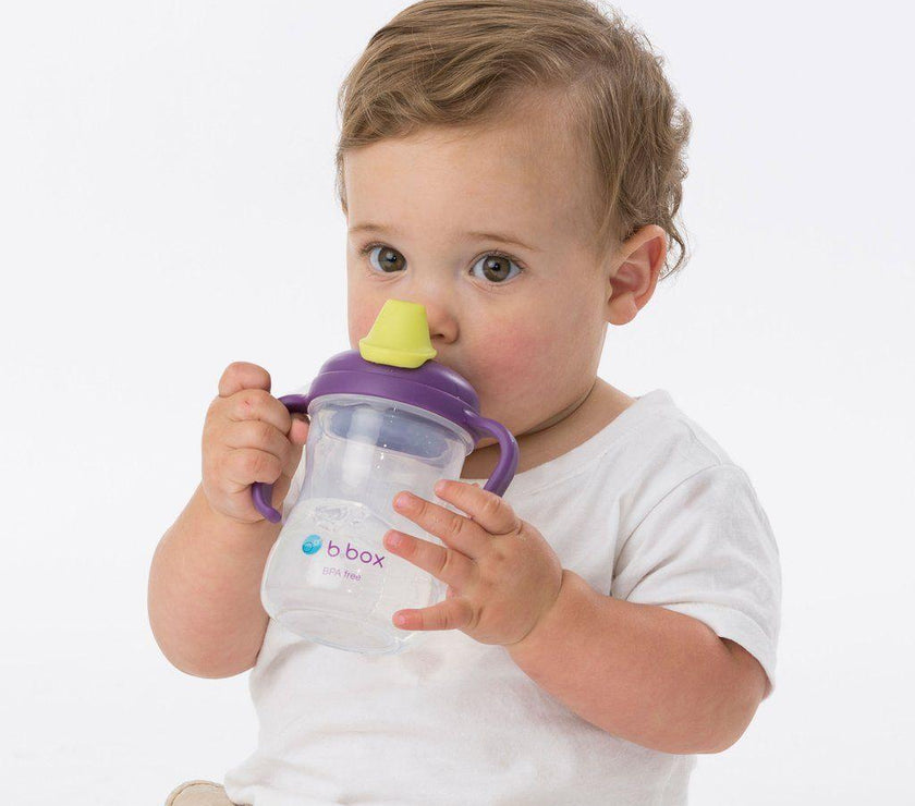 B.Box Spout Cup - Grape | Little Baby.