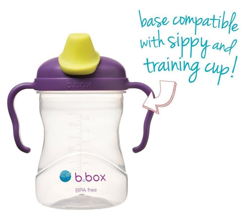B.Box Spout Cup - Grape | Little Baby.