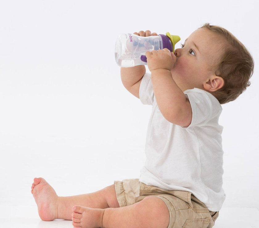 B.Box Spout Cup - Grape | Little Baby.