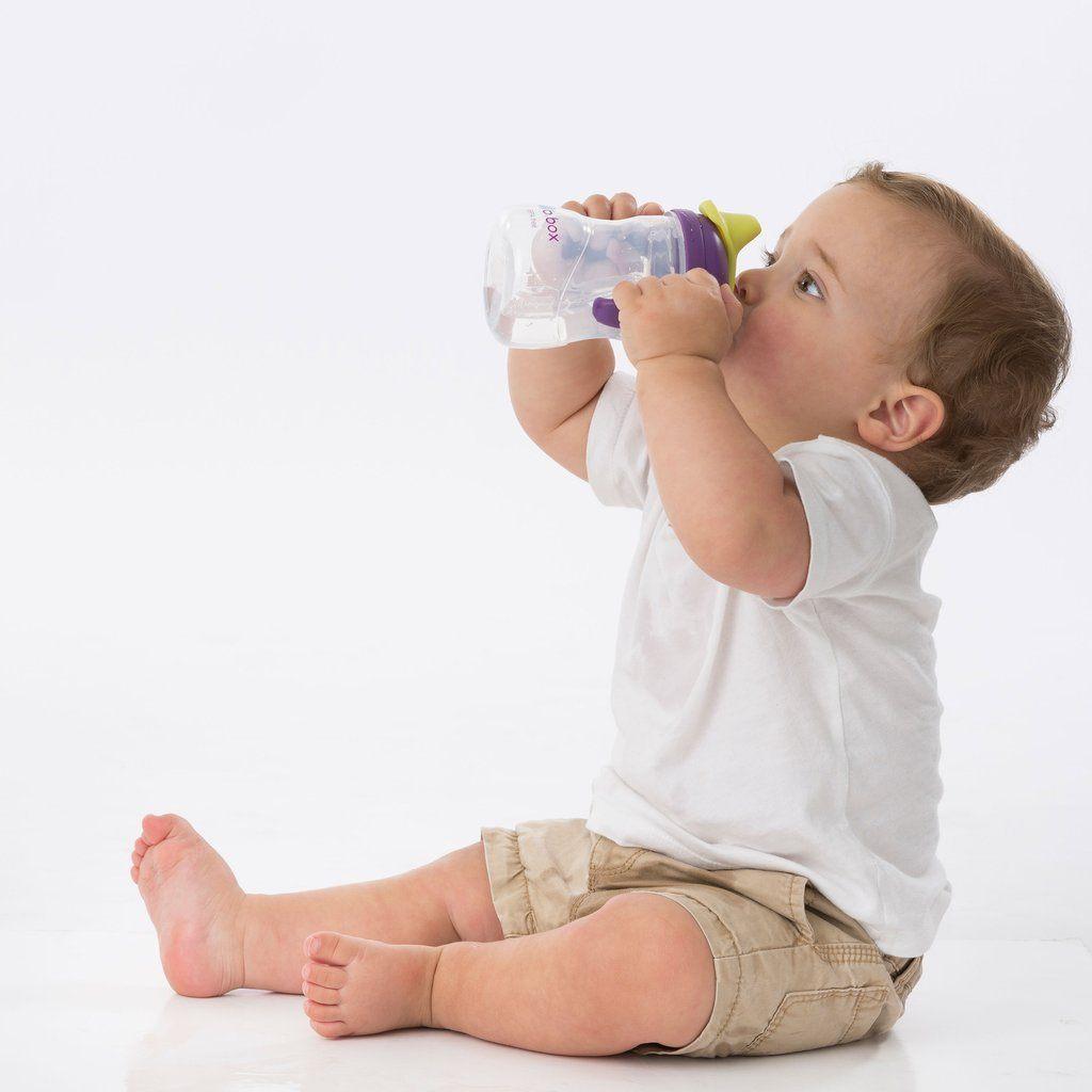 B.Box Spout Cup - Grape | Little Baby.