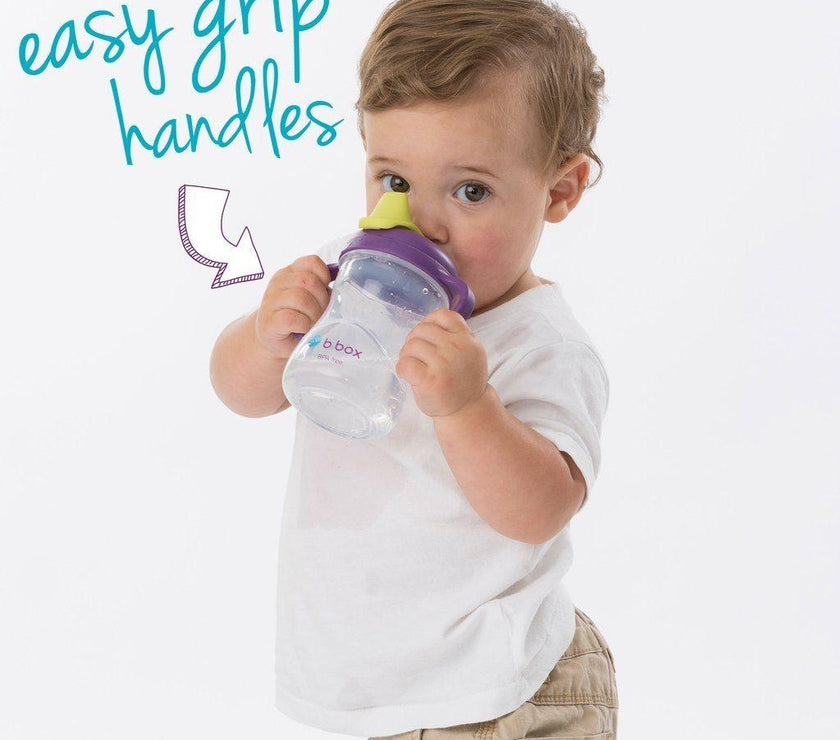 B.Box Spout Cup - Grape | Little Baby.