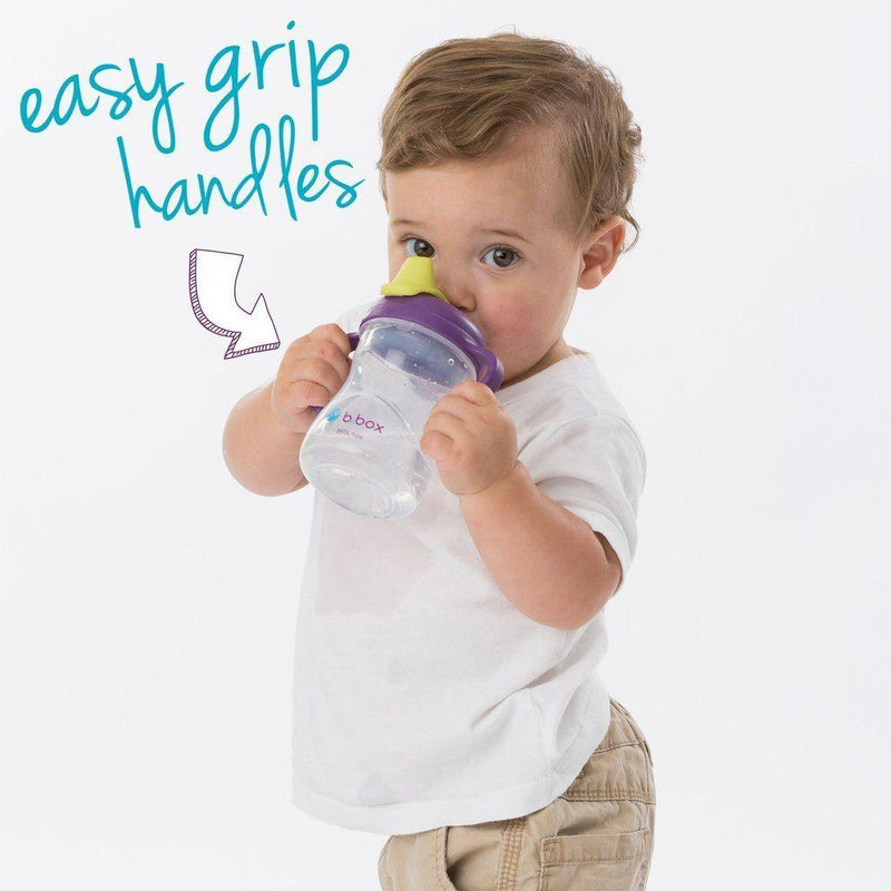B.Box Spout Cup - Grape | Little Baby.