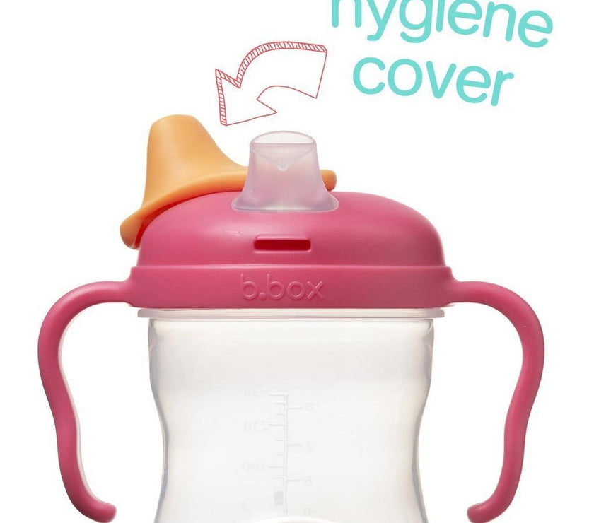 B.Box Spout Cup - Raspberry | Little Baby.