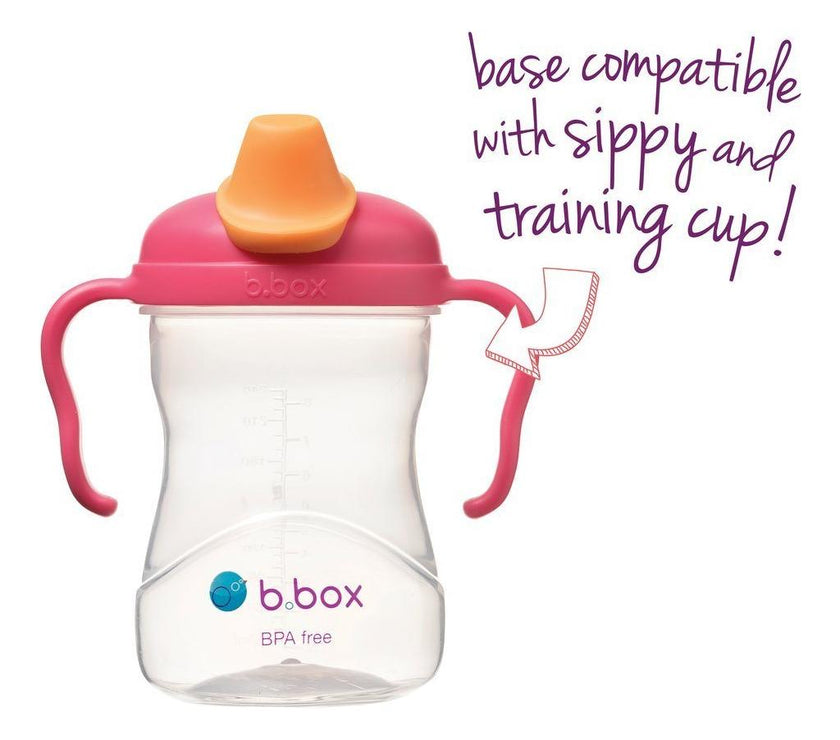 B.Box Spout Cup - Raspberry | Little Baby.