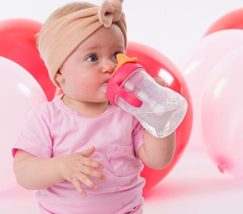 B.Box Spout Cup - Raspberry | Little Baby.