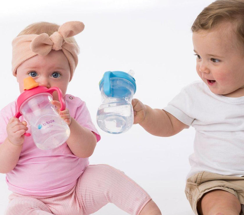 B.Box Spout Cup - Raspberry | Little Baby.