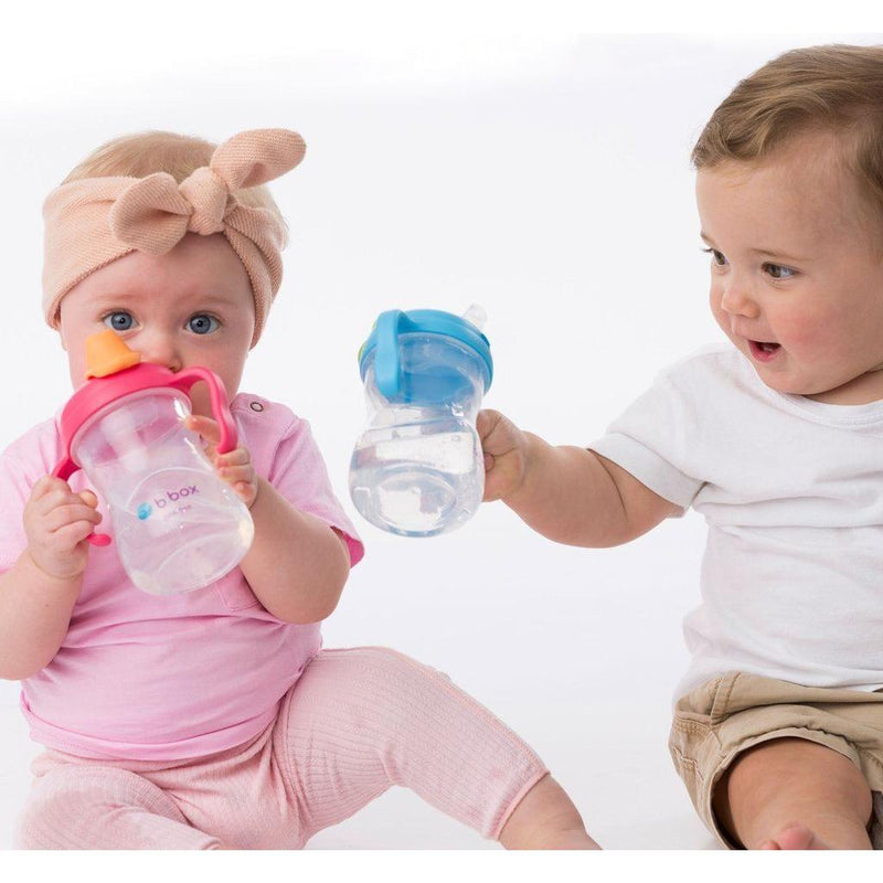 B.Box Spout Cup - Raspberry | Little Baby.