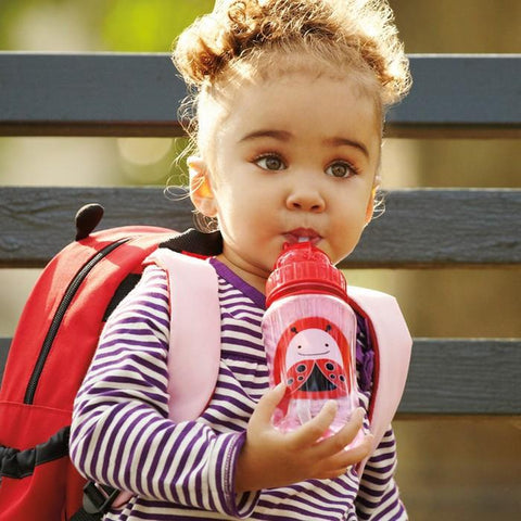 Skip Hop Zoo Straw Bottle - Ladybug | Little Baby.