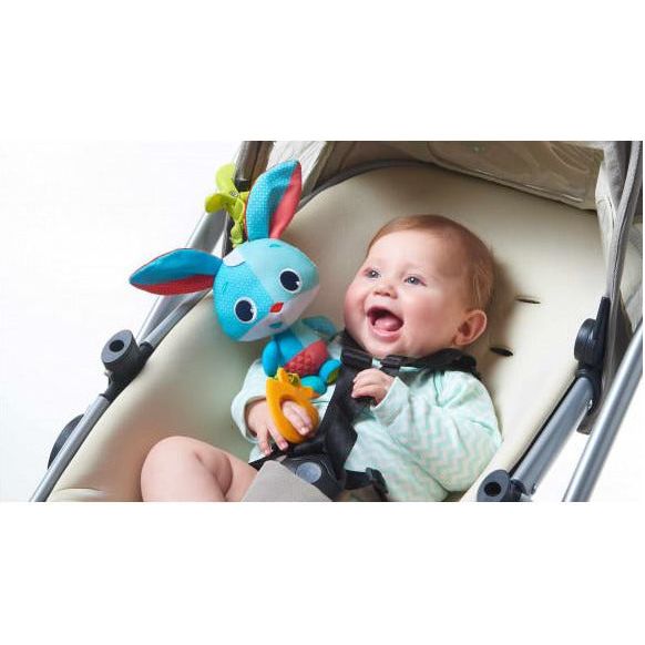 Tiny Love Thomas Jitter | Little Baby.