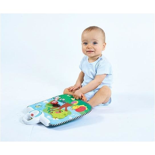 Tiny Love Double Sided Crib Toy | Little Baby.