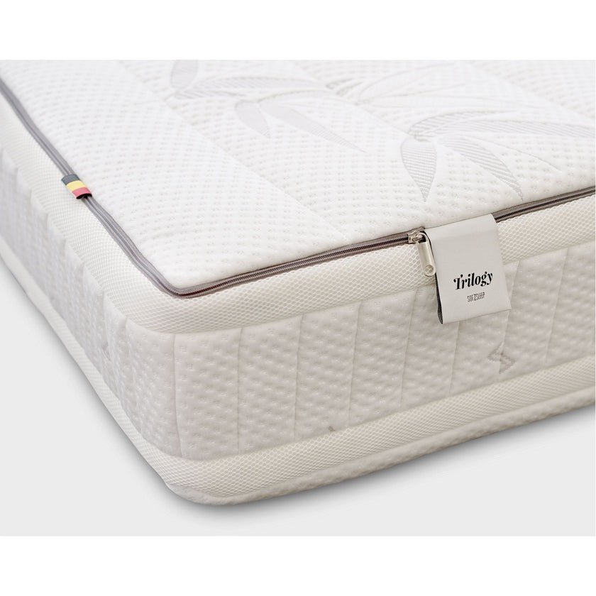 Sofzsleep Trilogy Latex Mattress, H24cm | Little Baby.